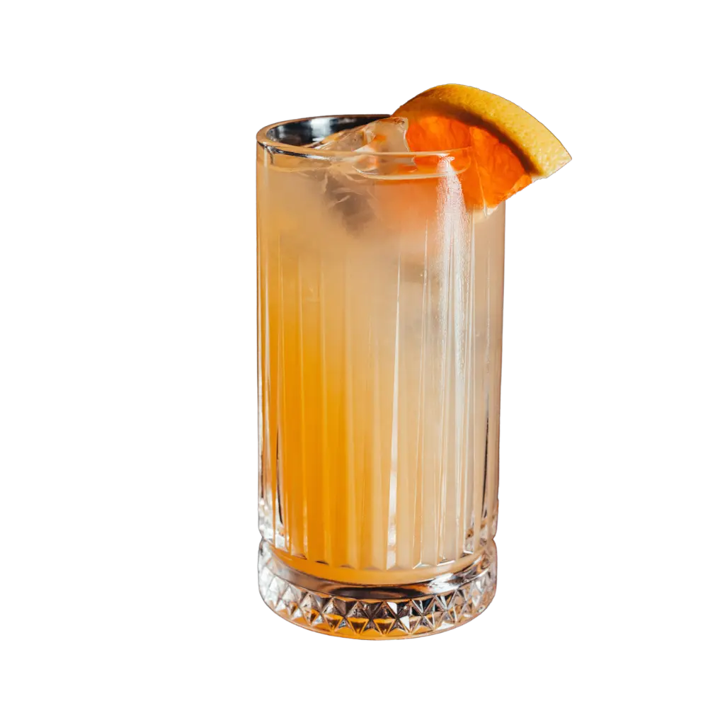 Paloma